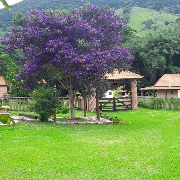 Recanto Das Flores São Tomé das Letras Kültér fotó