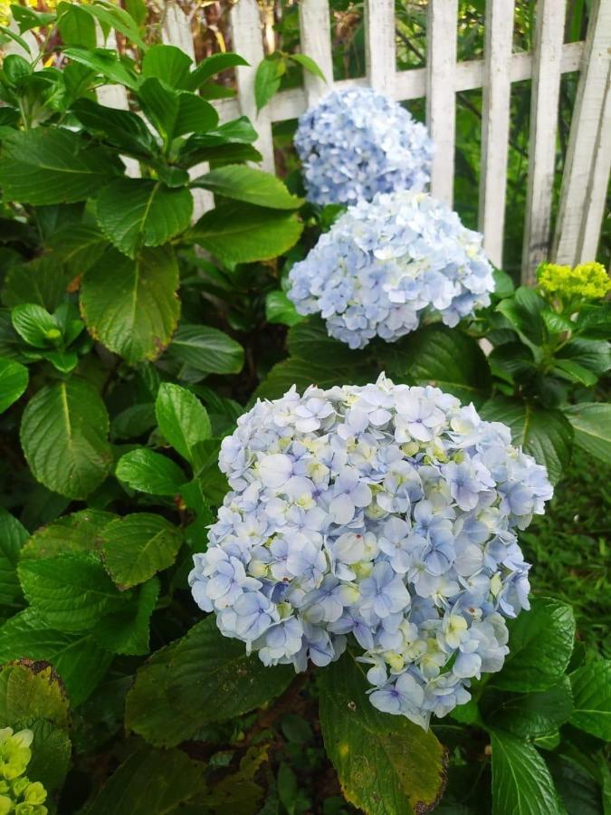 Recanto Das Flores São Tomé das Letras Kültér fotó