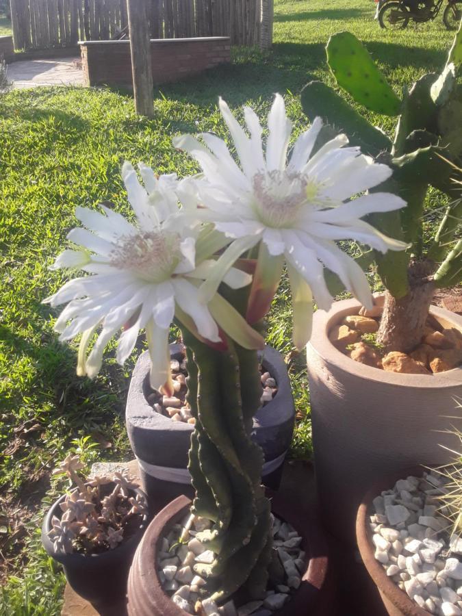 Recanto Das Flores São Tomé das Letras Kültér fotó