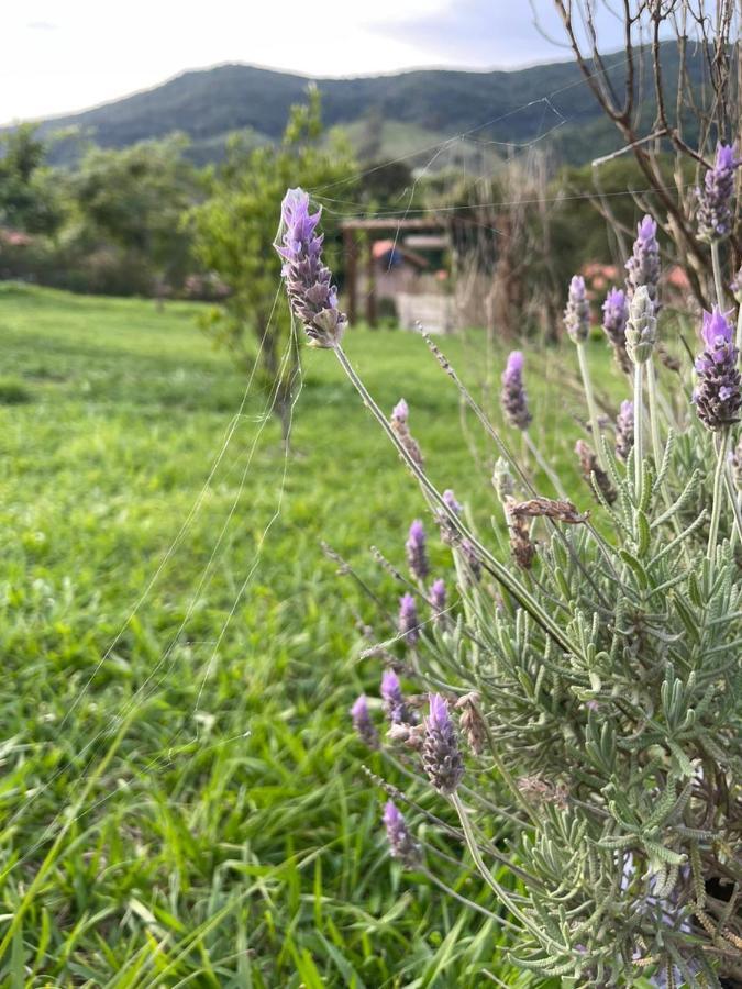 Recanto Das Flores São Tomé das Letras Kültér fotó